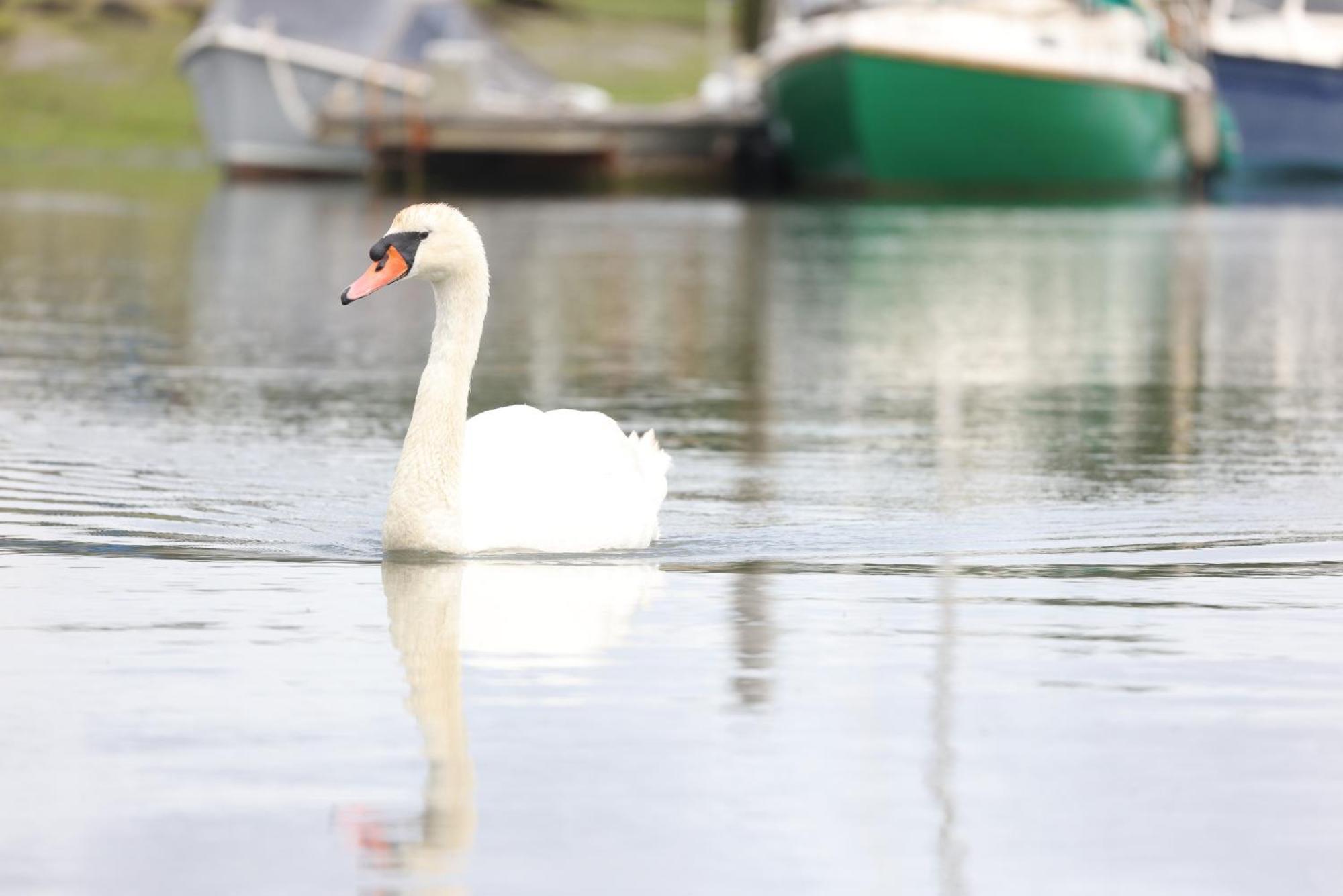 Mercury Yacht Harbour And Holiday Park Bursledon エクステリア 写真